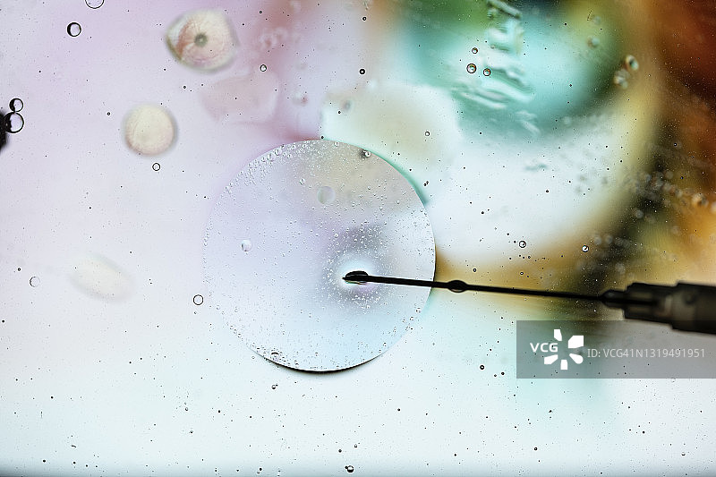 通过显微镜用针头注射细胞图片素材