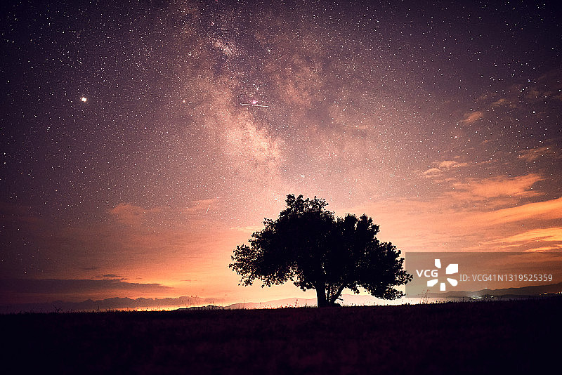 银河背景下的孤独的树图片素材