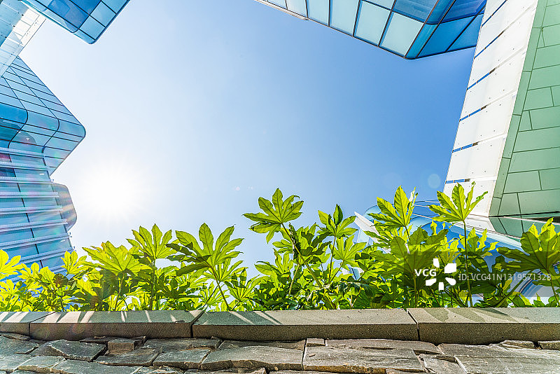 未来生态城市图片素材