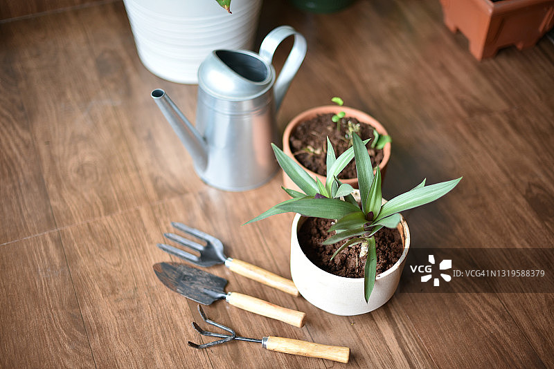 园艺工具、花盆和洒水壶图片素材