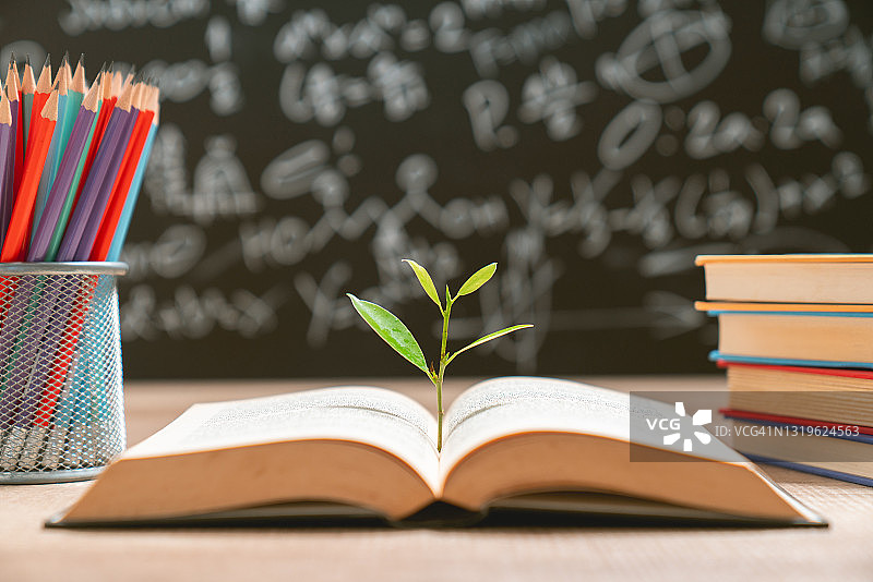 从书中生长出来的知识之树图片素材