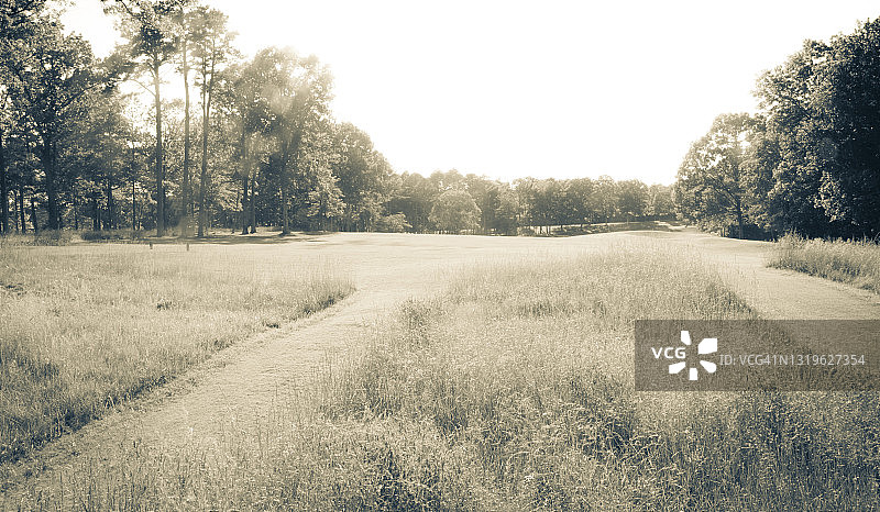用作背景的高尔夫球场抽象图案图片素材
