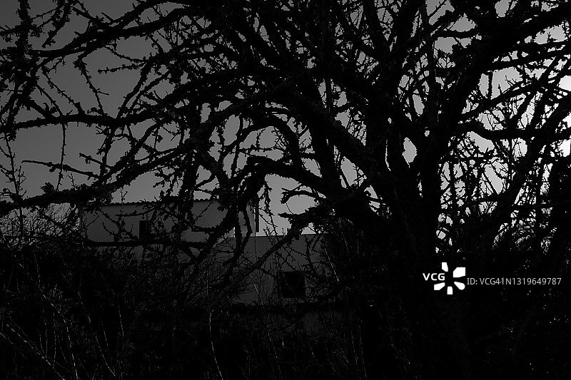 源于阴谋图片素材