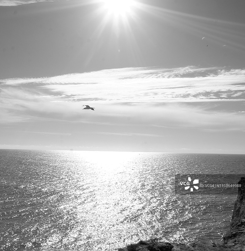 在空中游泳图片素材
