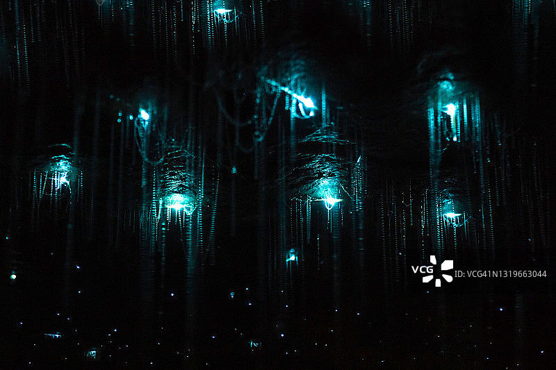 卡胡朗伊国家公园照亮黑暗洞穴的萤火虫图片素材