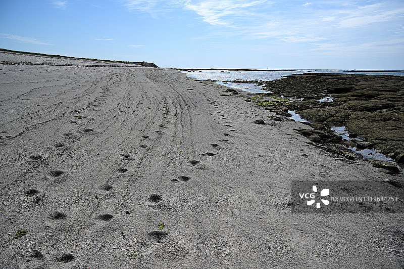 沙滩上的沙子脚印图片素材