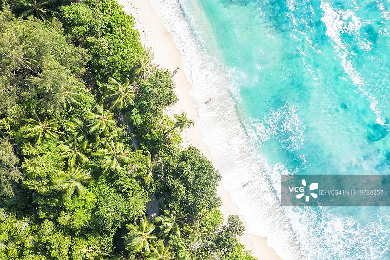 塞舌尔马埃岛塔卡马卡海滩无人机鸟瞰图片素材