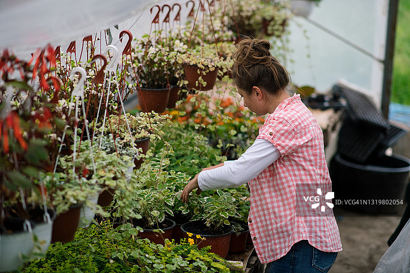 年轻女子在温室工作图片素材