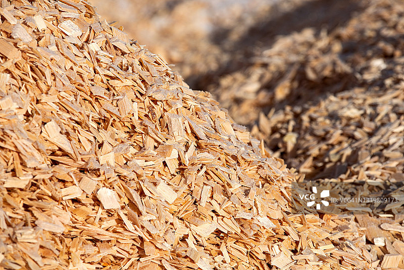 造纸厂里的一堆木片图片素材