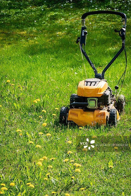 未修剪草坪上的割草机图片素材