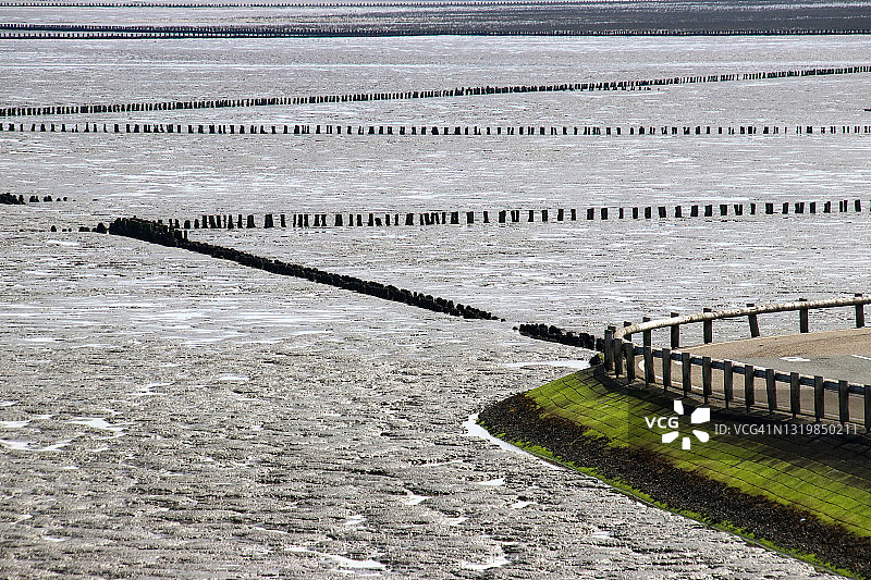 荷兰霍尔韦德附近的泥滩图片素材