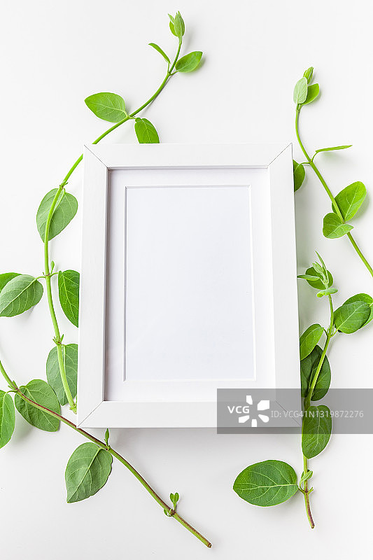白色木框与绿叶枝条背景样机图片素材