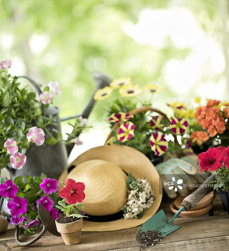 园艺工具和春季花卉背景图片素材