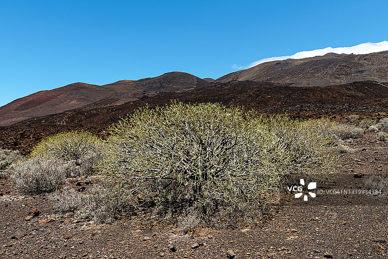 埃尔耶罗岛奥奇利亚山火山景观图片素材
