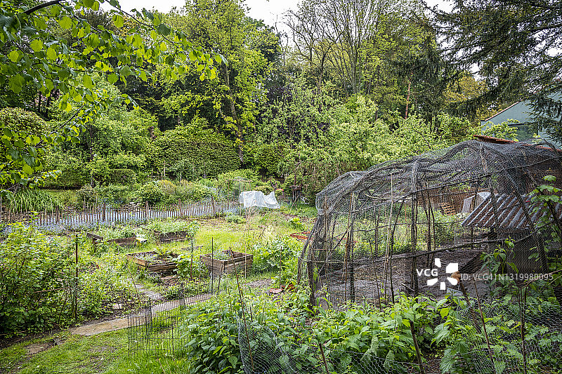 带鸡舍的城市菜园图片素材