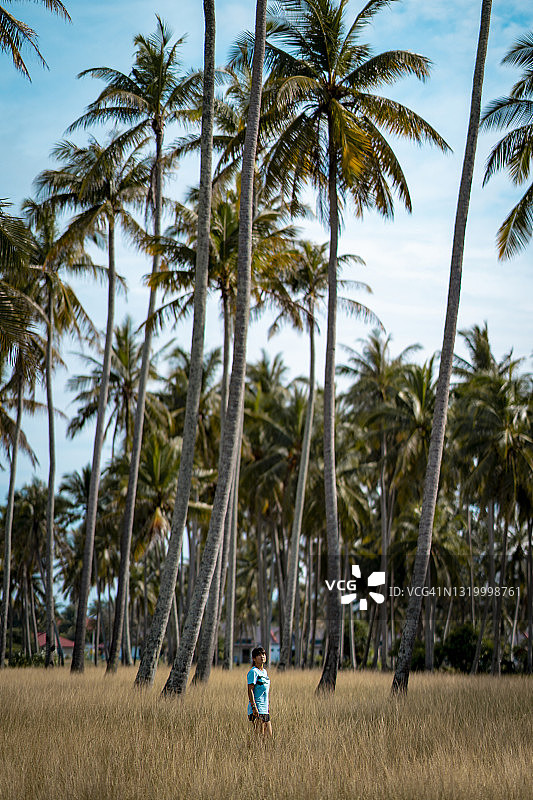 站在椰子树和黄色草地中的女孩图片素材