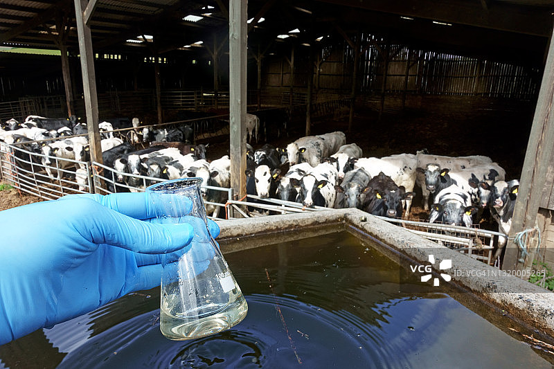 养牛场水质测试图片素材