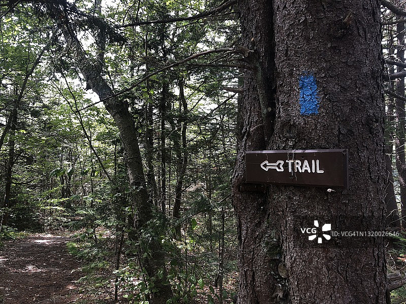 自然小径方向箭头标志图片素材