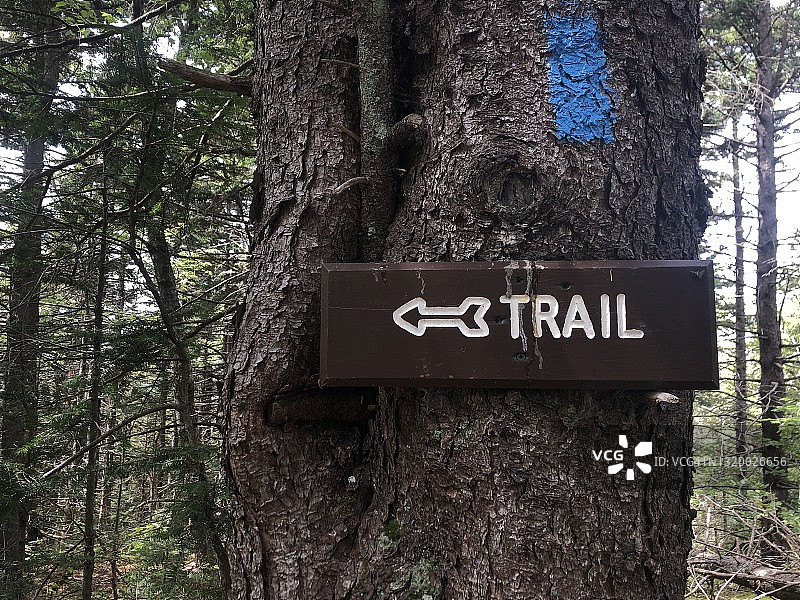 自然小径方向指示箭头图片素材