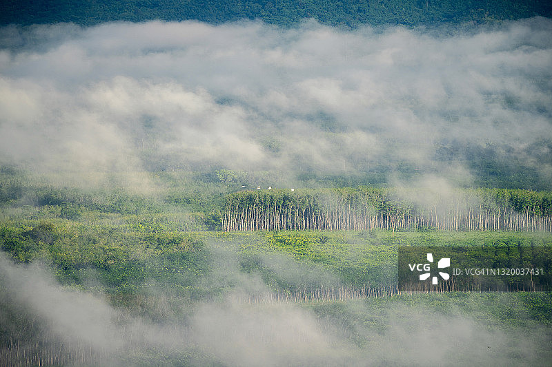 美丽的阳光，泰国宋卡府雾气弥漫的清晨山景图片素材