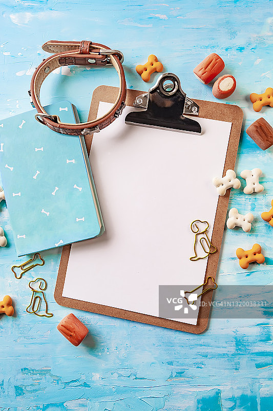 蓝色背景上的空白剪贴板、记事本和宠物用品俯视图图片素材