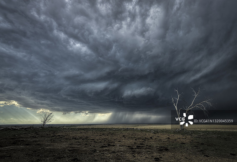 大平原上的风暴与枯树图片素材