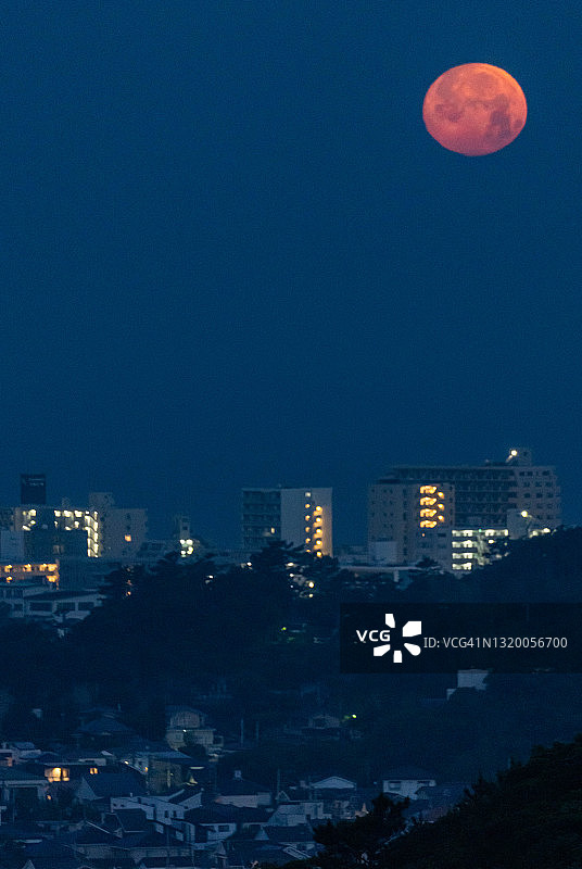 日本神奈川县海边住宅区上空的超级血月图片素材
