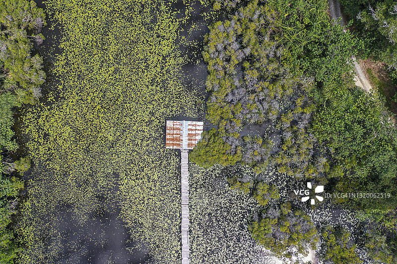 热带沼泽中被遗弃的房屋的无人机视角图片素材