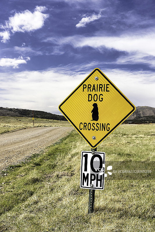 草原犬鼠穿行道路标志图片素材