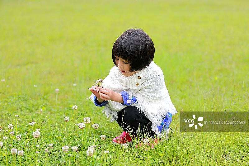 在草地上摘花的混血小女孩图片素材