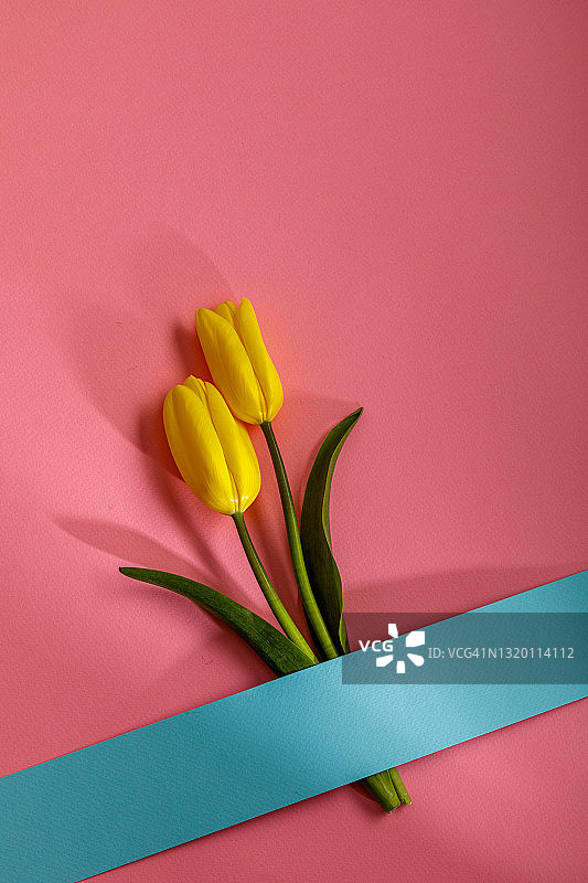 来自春天的消息图片素材