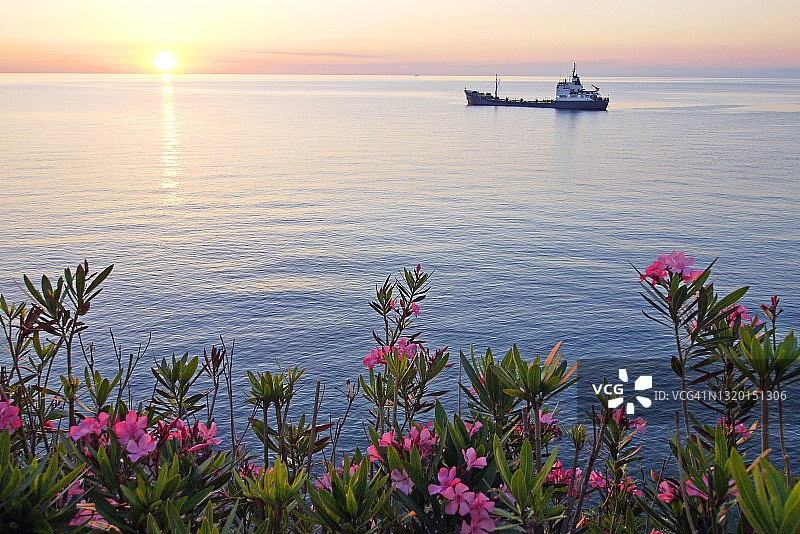 利帕里岛日出与粉色夹竹桃图片素材