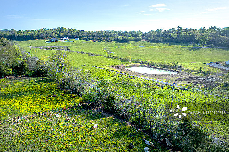 春天盛开的树木和鲜花图片素材