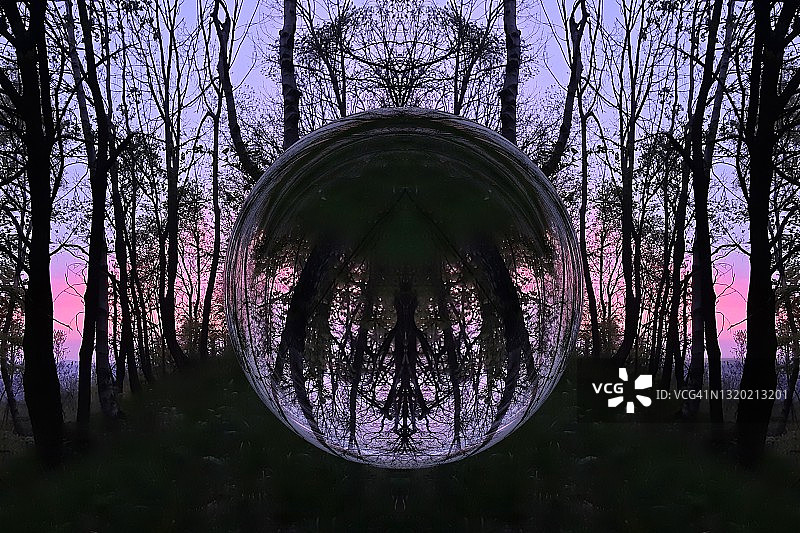 诡异森林与魔法玻璃球图片素材