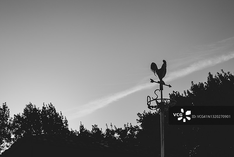 公鸡风向标图片素材