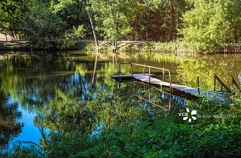 夏季森林湖泊和老旧的木制码头图片素材