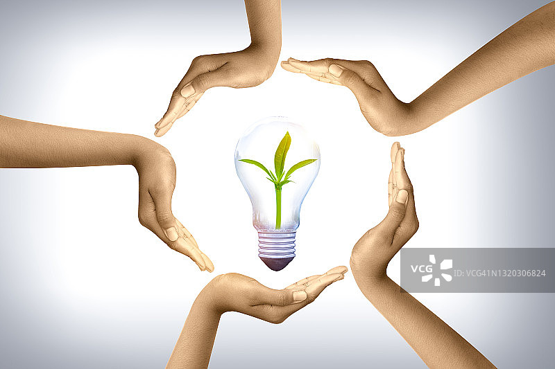 可再生能源概念地球日或环境保护手保护生长在地上的森林，帮助拯救世界。图片素材