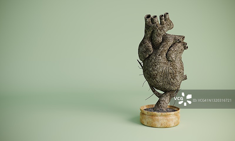 心形树图片素材