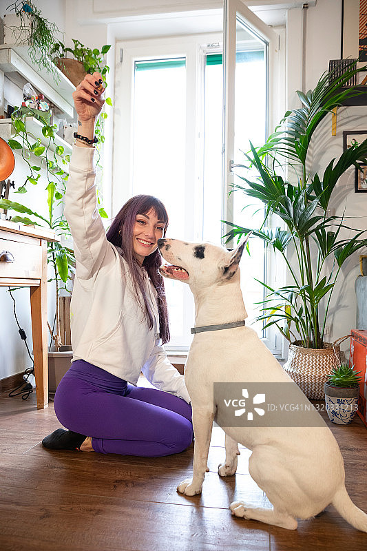 年轻女子和她的狗玩耍图片素材