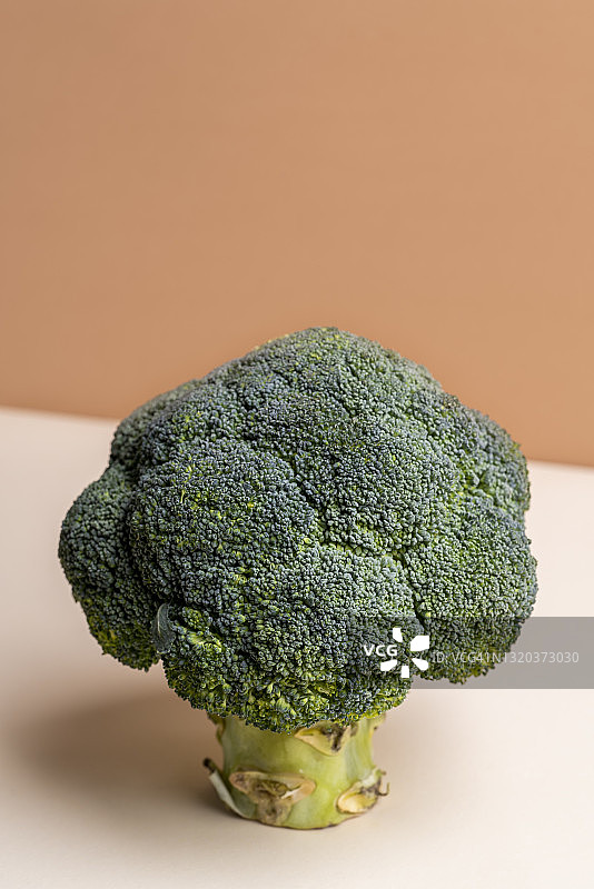 粉彩背景下的西兰花特写图片素材