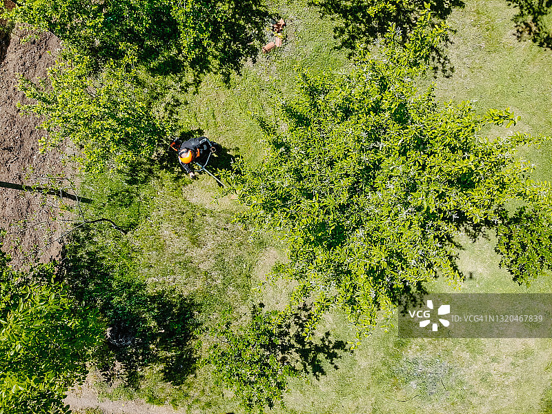 年长的男人在割草图片素材