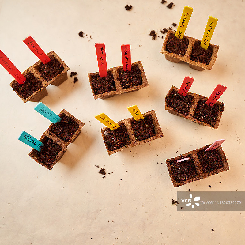 泥炭盆中的蔬菜园种子图片素材