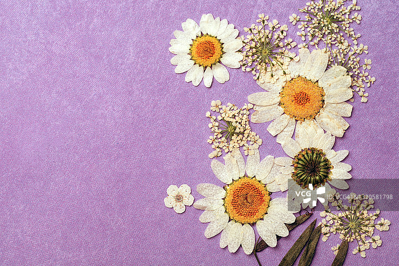 工艺纸上的小干花图片素材