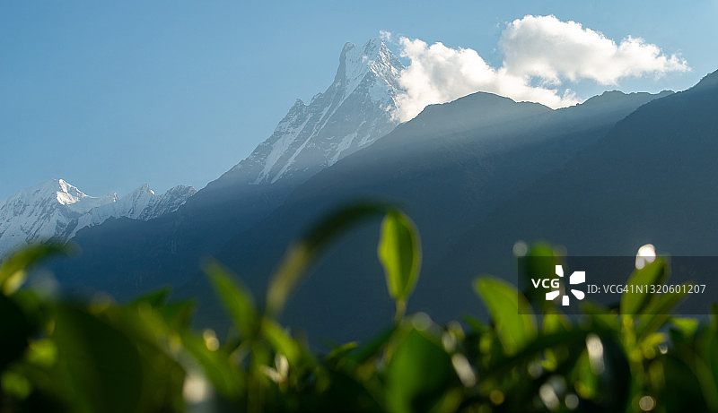 尼泊尔安娜普尔纳保护区鱼尾峰的宁静景色图片素材