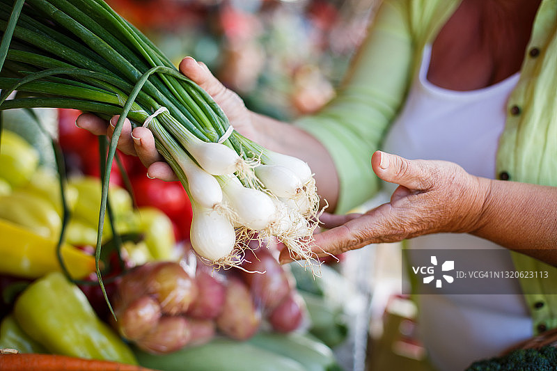 年长的女人拿着新鲜的韭菜，特写图片素材