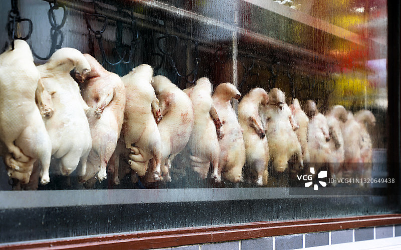 橱窗里发酵的生北京烤鸭图片素材