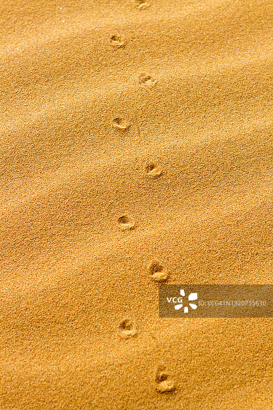 摩洛哥撒哈拉沙漠图片素材