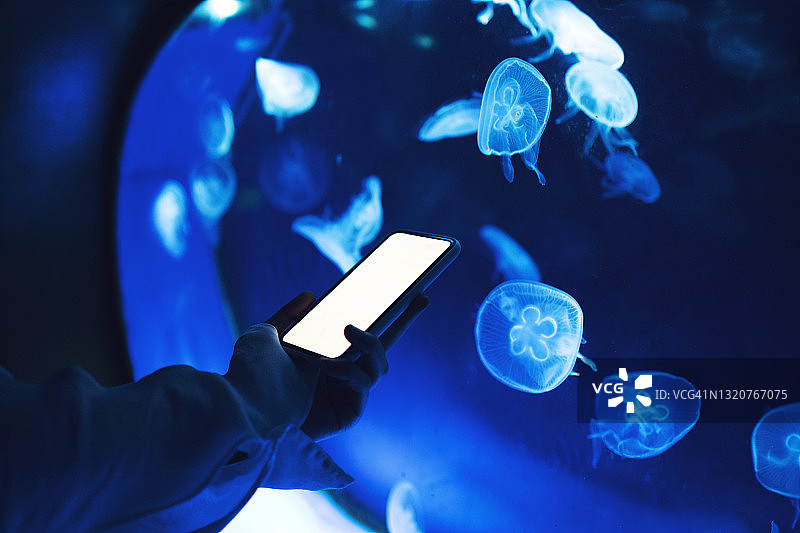 女人手机控制水母场景灯光，IoT概念图片素材