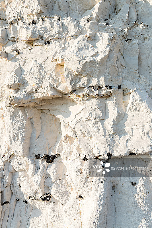 英国东萨塞克斯七姐妹悬崖的白垩岩面特写图片素材