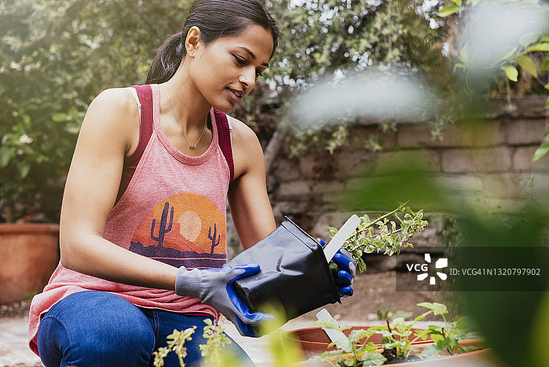 女人在花园里手持盆栽植物图片素材